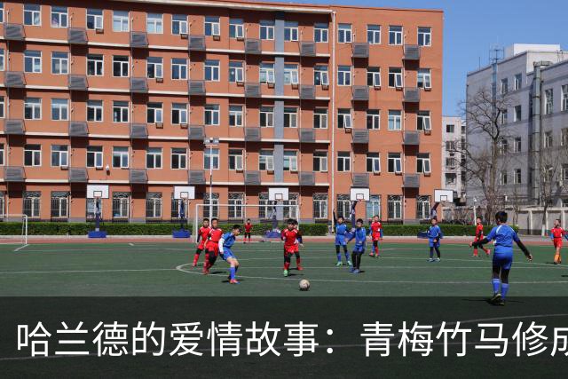 哈兰德的爱情故事：青梅竹马修成正果 女友主动追求他