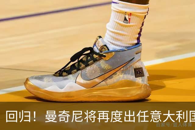 回归！曼奇尼将再度出任意大利国家队主教练