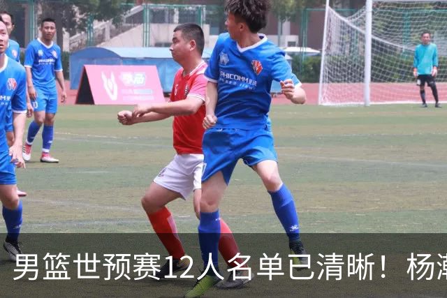 男篮世预赛12人名单已清晰！杨瀚森张镇麟领头：赵继伟可能落选