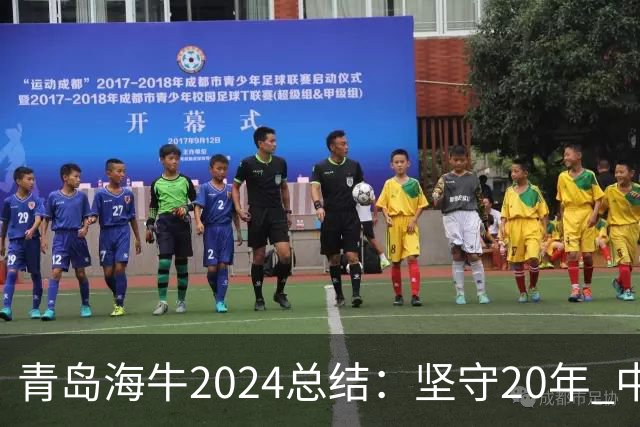 青岛海牛2024总结：坚守20年 中能的拼争与困境